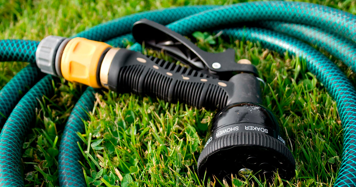 Izbor baštenskih creva